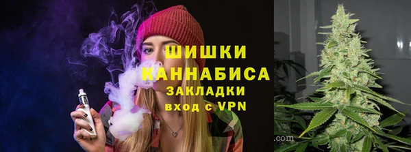 крисы Новозыбков