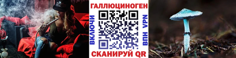 блэк спрут tor наркошоп Кумертау Псилоцибиновые грибы GOLDEN TEACHER